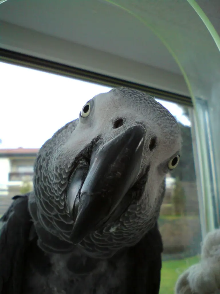 Andachtsbild von Rüdiger Schorr