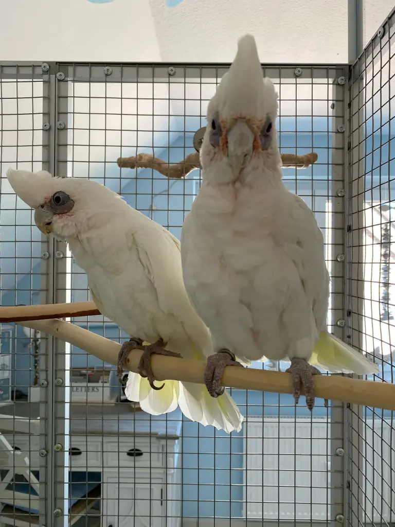 Andachtsbild von Andrea 