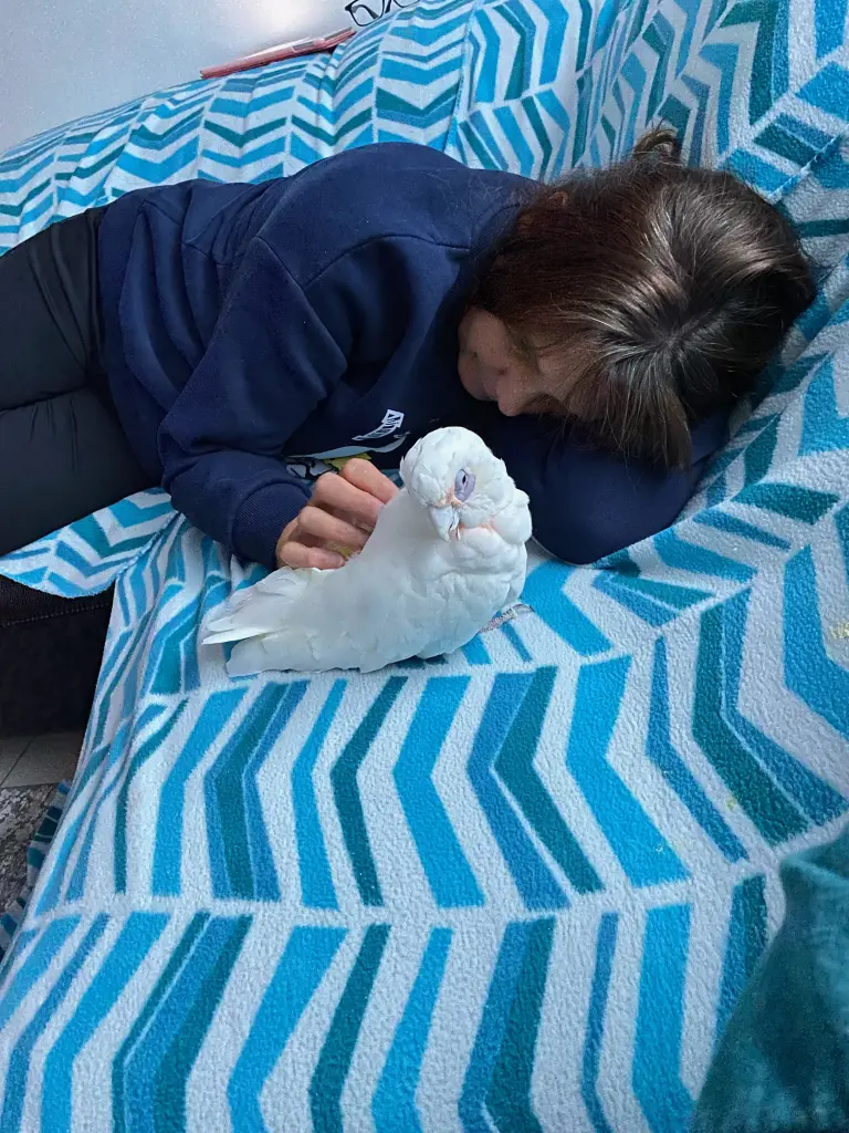 Andachtsbild von Andrea 