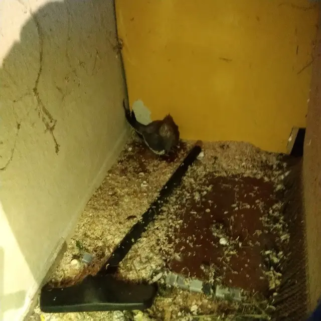 Andachtsbild von Michael mit Anna und Gizmo im Herzen