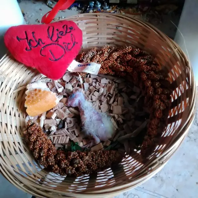 Andachtsbild von Michael mit Anna, Gizmo und Maxl im Herzen