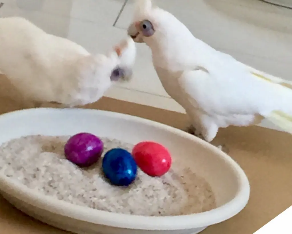 Andachtsbild von Andrea