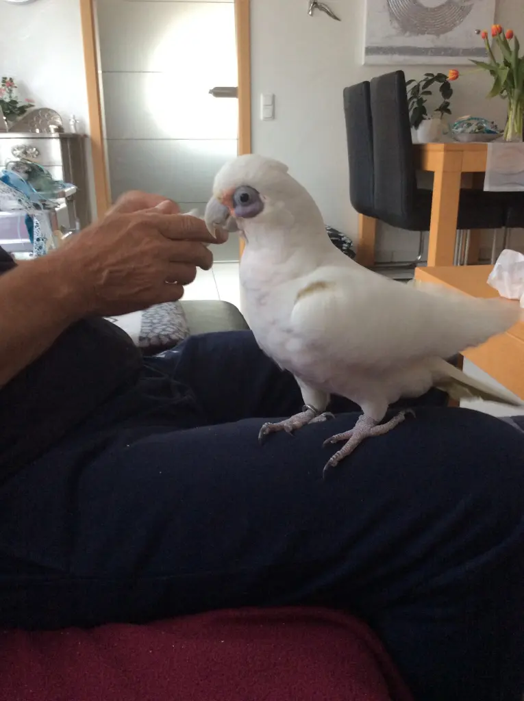 Andachtsbild von Andrea 