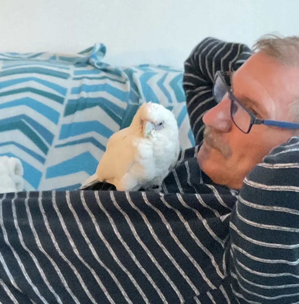 Andachtsbild von Andrea