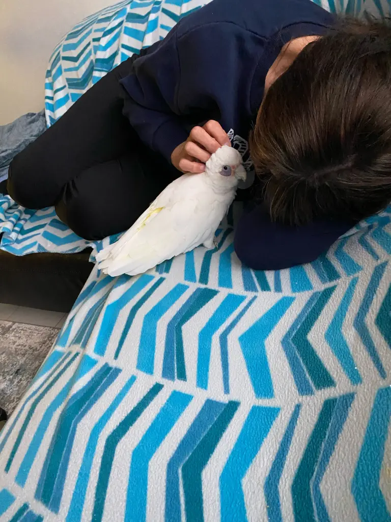 Andachtsbild von Andrea