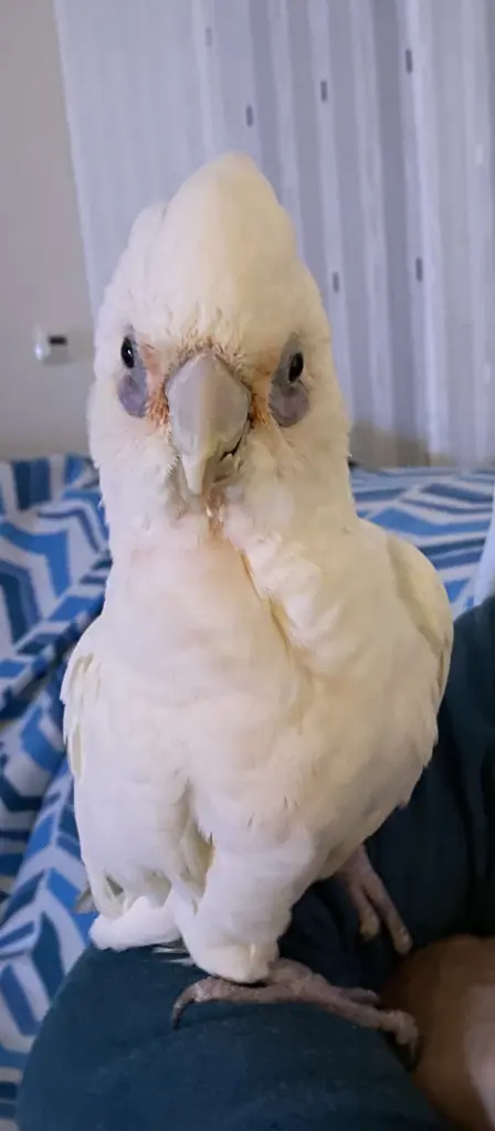 Andachtsbild von Andrea 