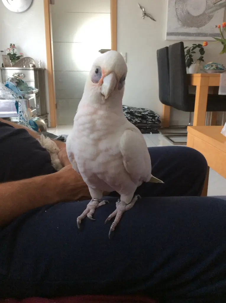 Andachtsbild von Andrea 