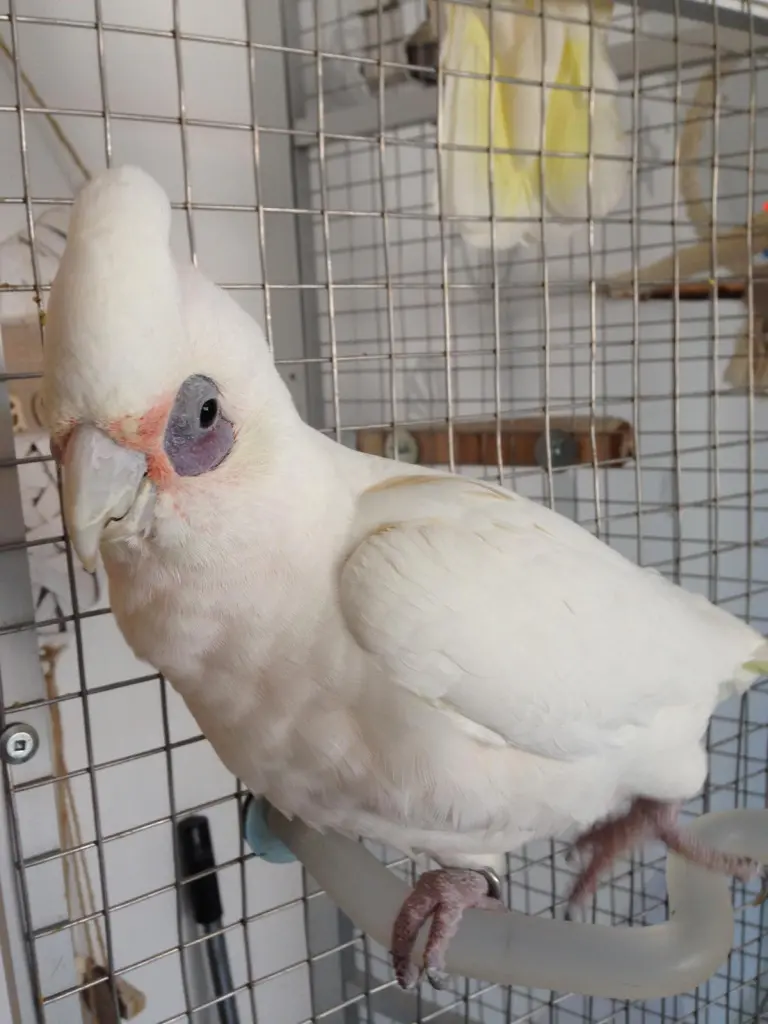 Andachtsbild von Andrea 