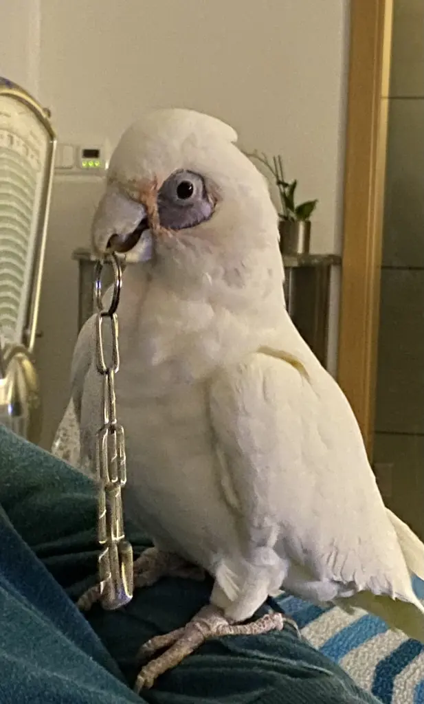 Andachtsbild von Andrea 