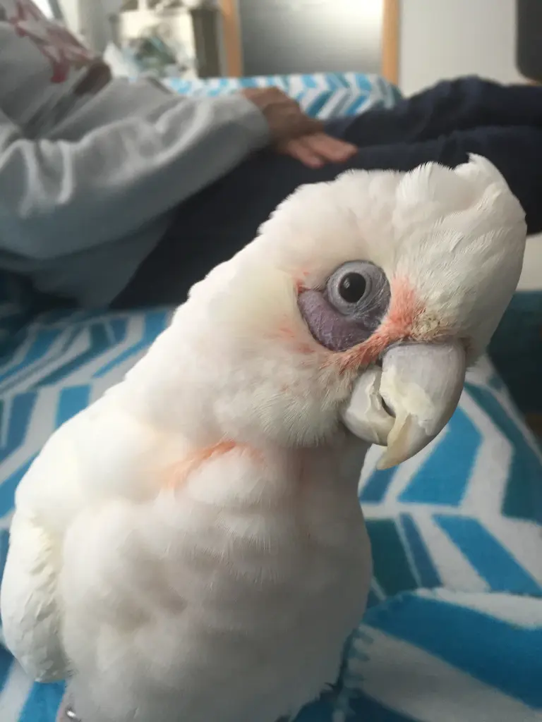 Andachtsbild von Andrea 