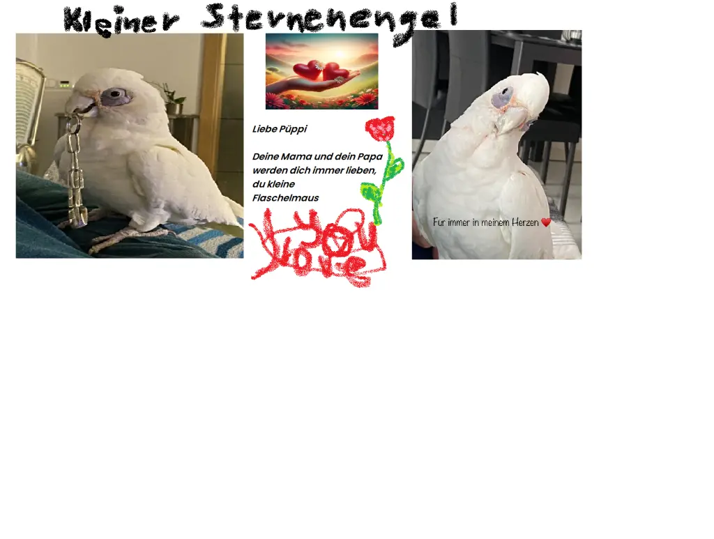 Andachtsbild von Michael mit Anna, Gizmo, Maxi , Chico und Bubi im Herzen im Herzen