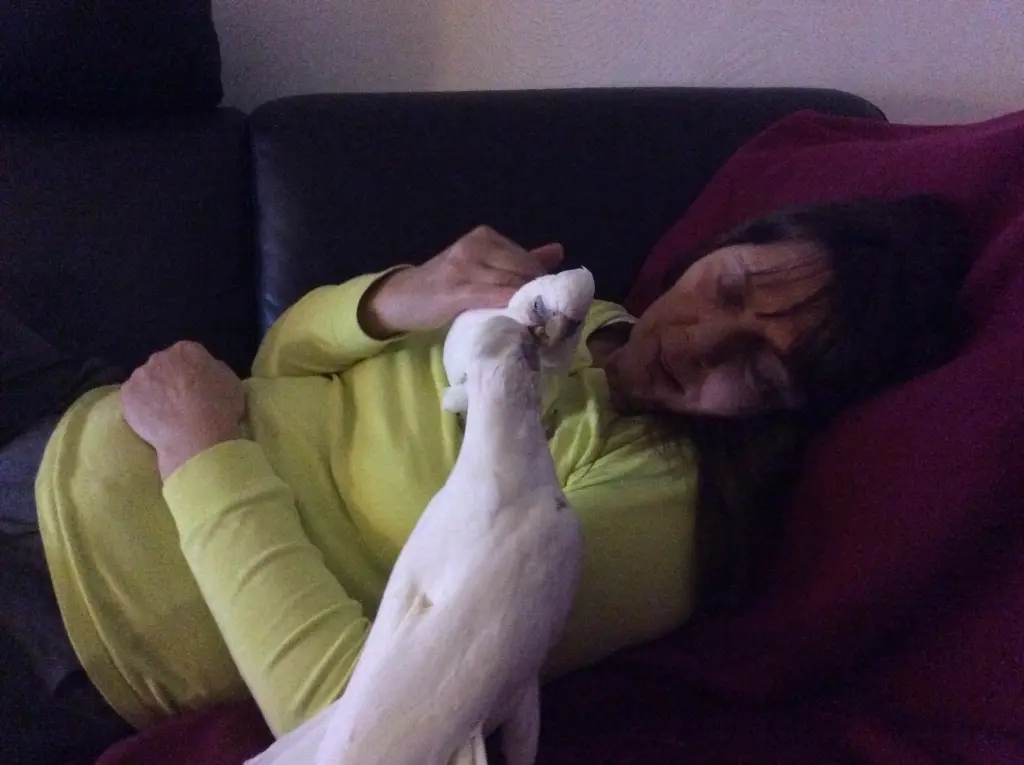 Andachtsbild von Andrea