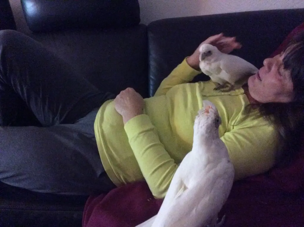 Andachtsbild von Andrea