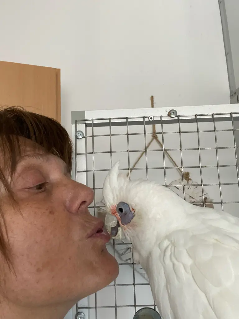 Andachtsbild von Andrea