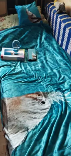 Andachtsbild von Micha ´s Federwölkchen