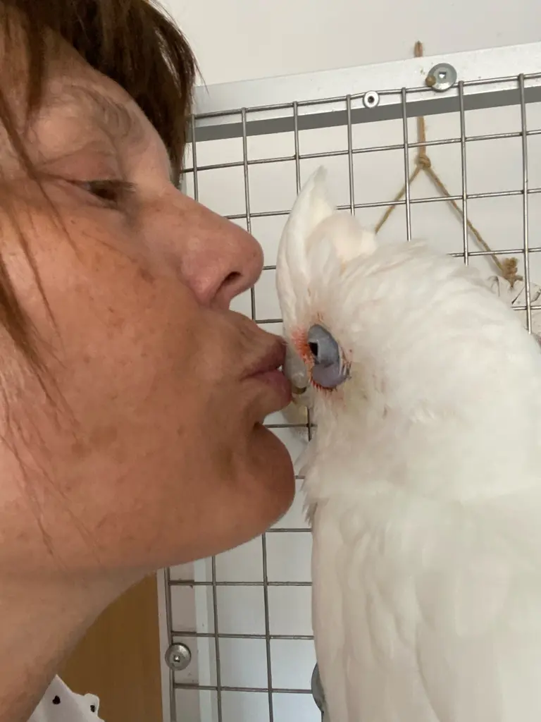 Condolence image of Andrea