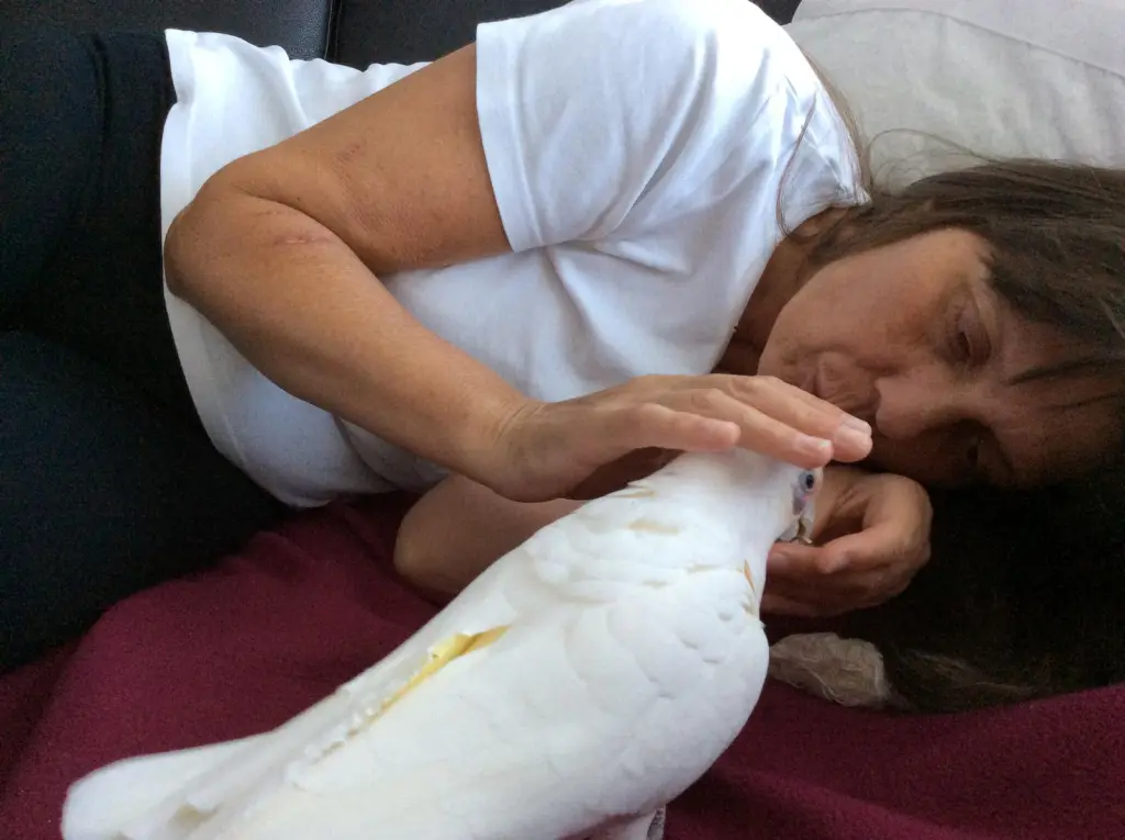 Condolence image of Andrea