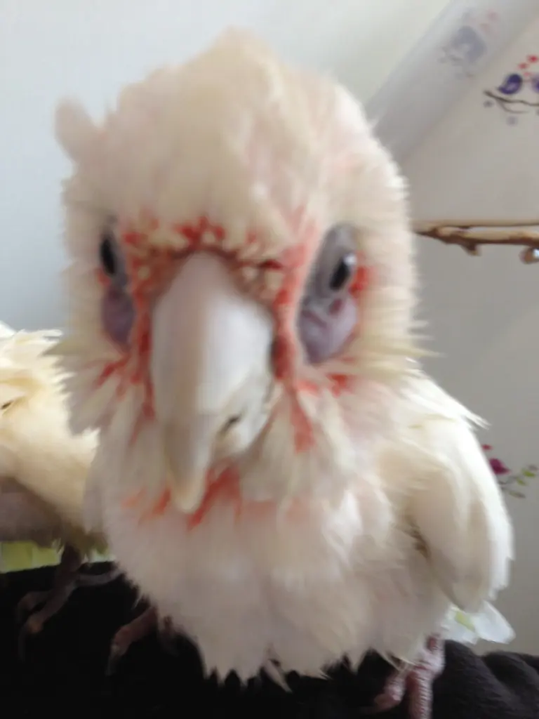 Condolence image of Andrea