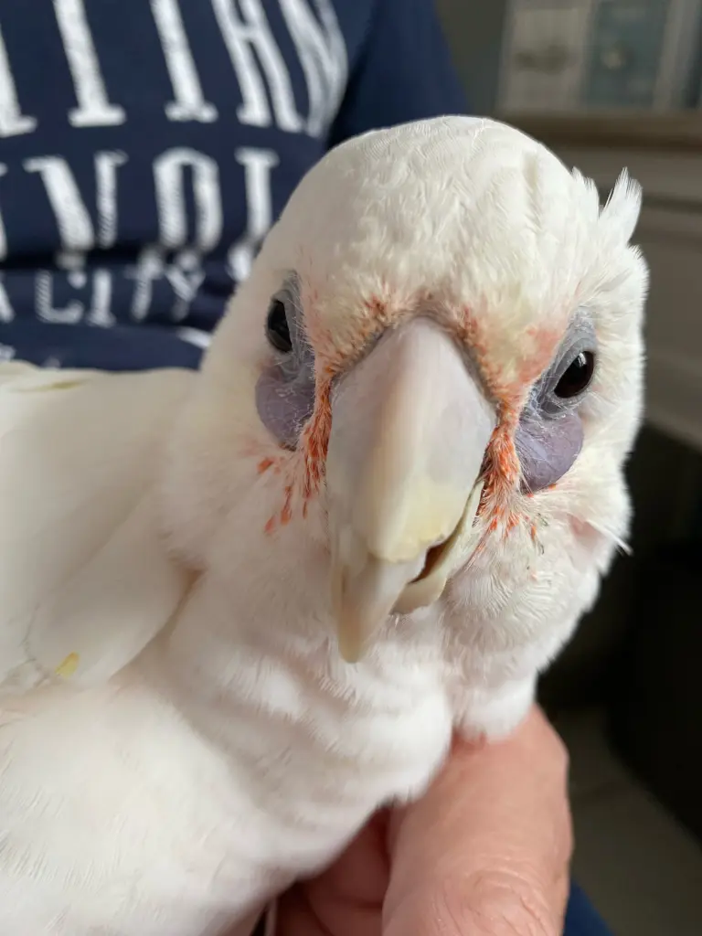 Condolence image of Andrea