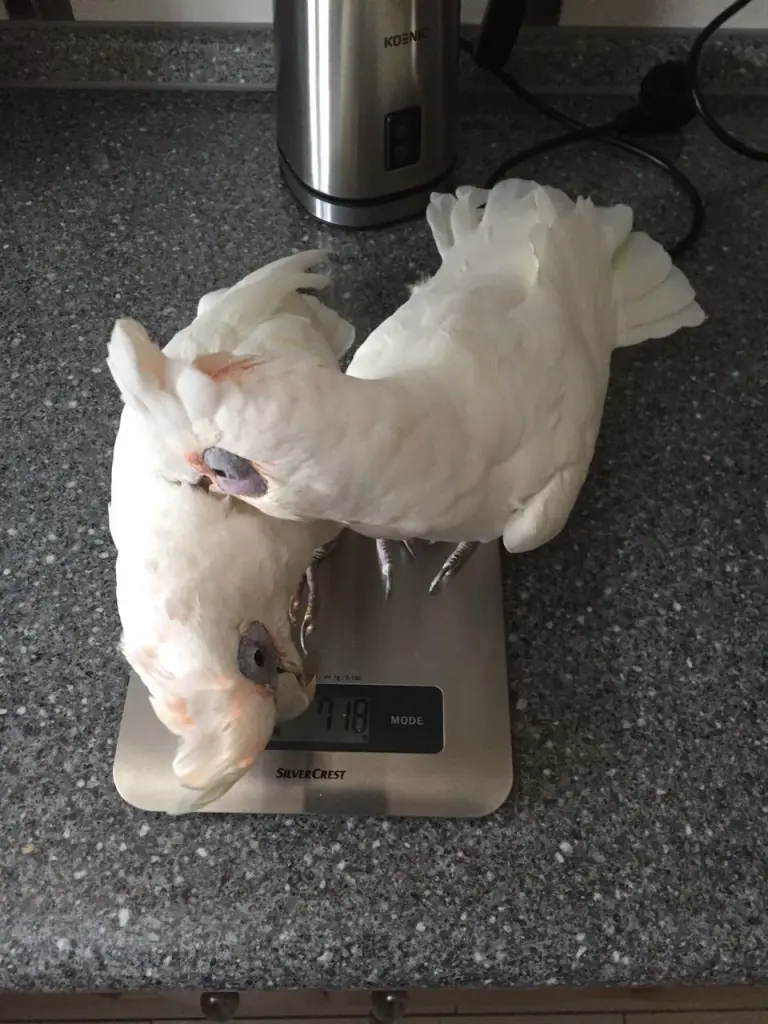 Condolence image of Andrea