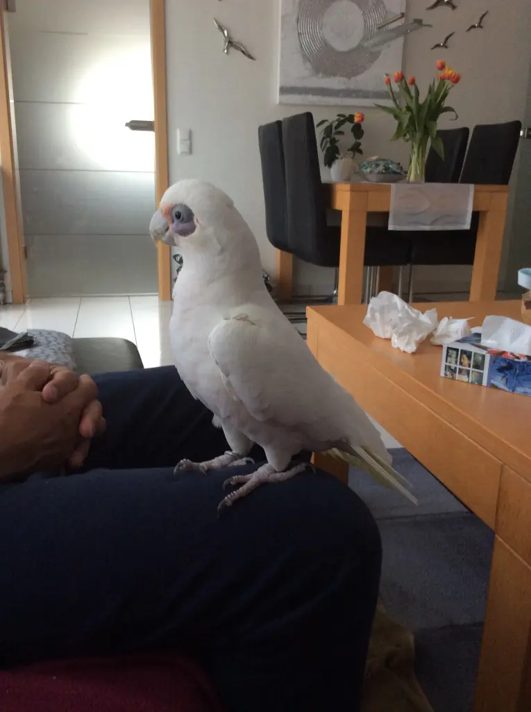 Condolence image of Andrea