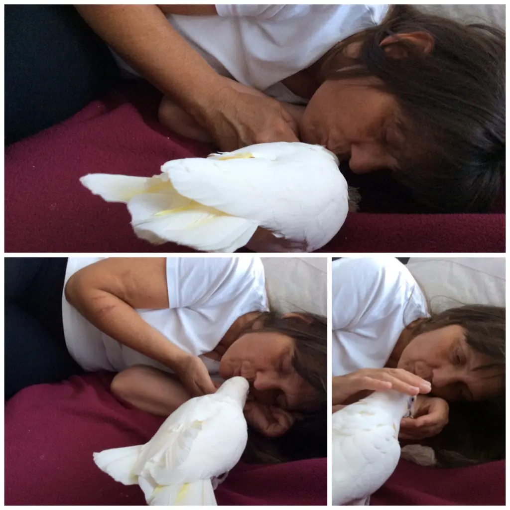 Condolence image of Andrea