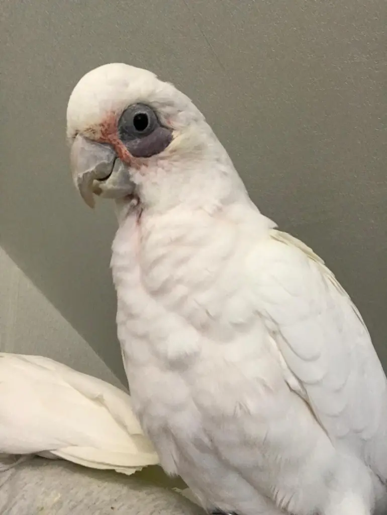 Condolence image of Andrea