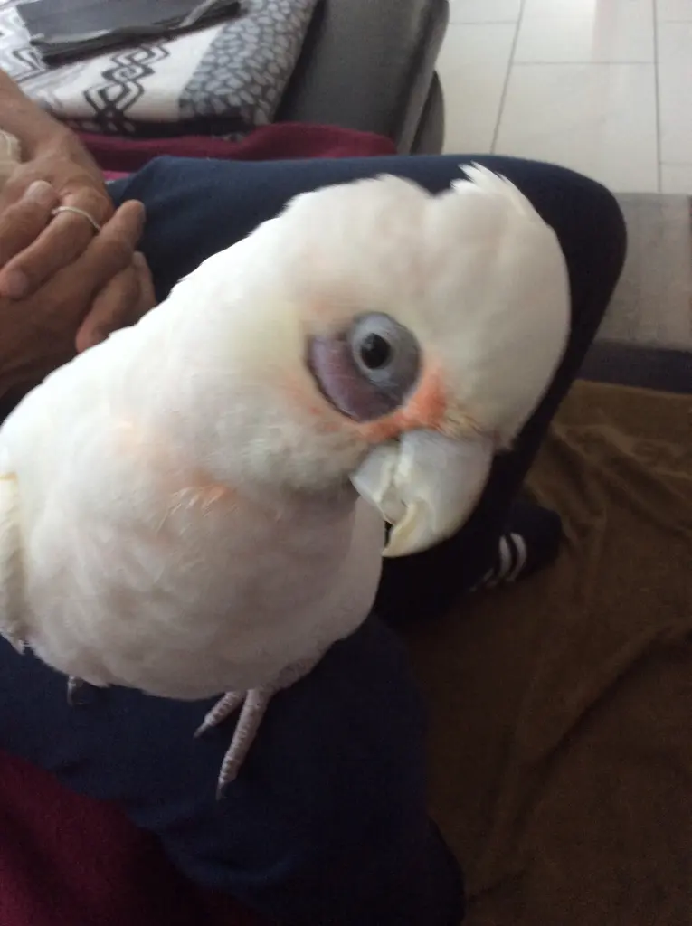 Bild von Bianca ( Püppi )