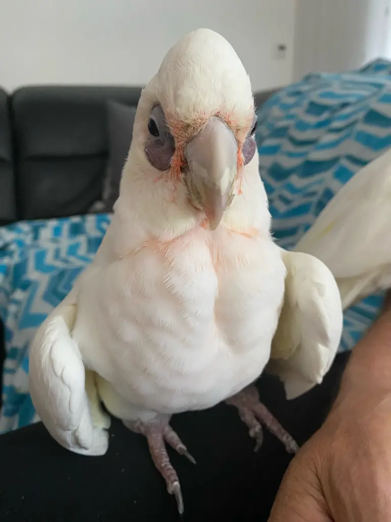 Bild von Bianca ( Püppi )