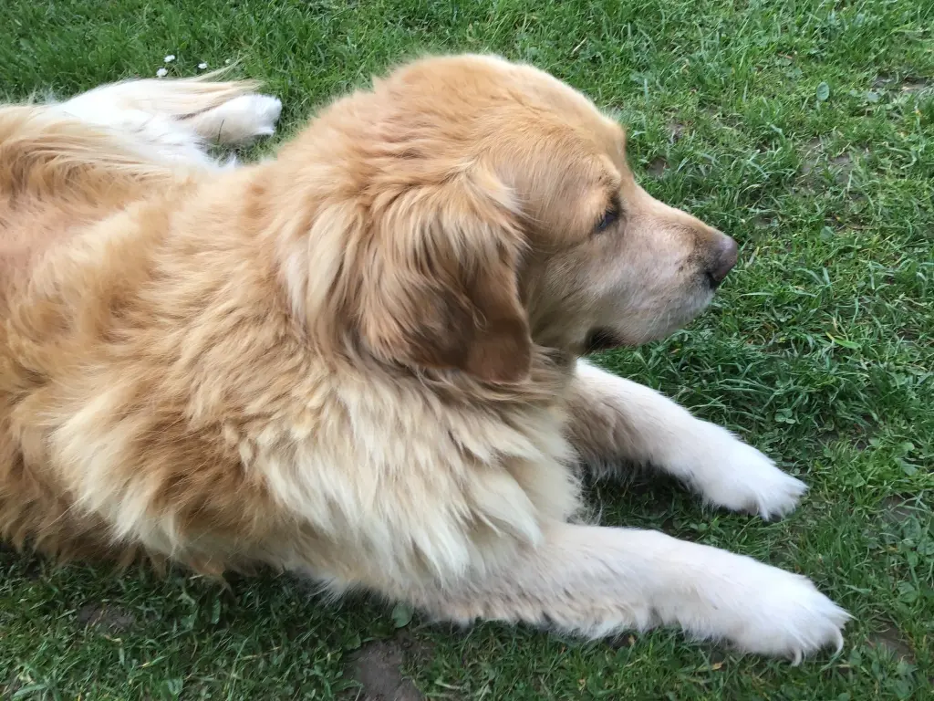 Andachtsbild von Angelika mit Luna von ❤️ + 02.03.2023