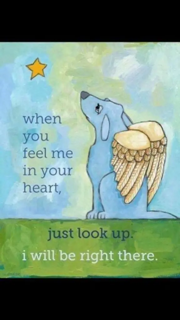 Condolence image of Ulrike