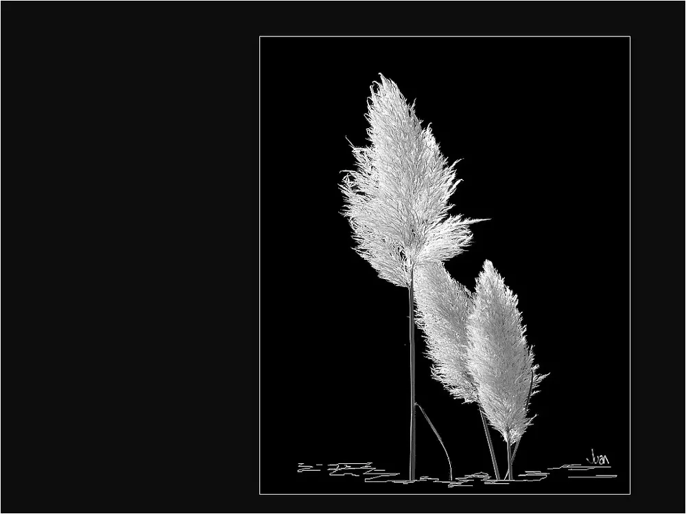 Condolence image of Susanne