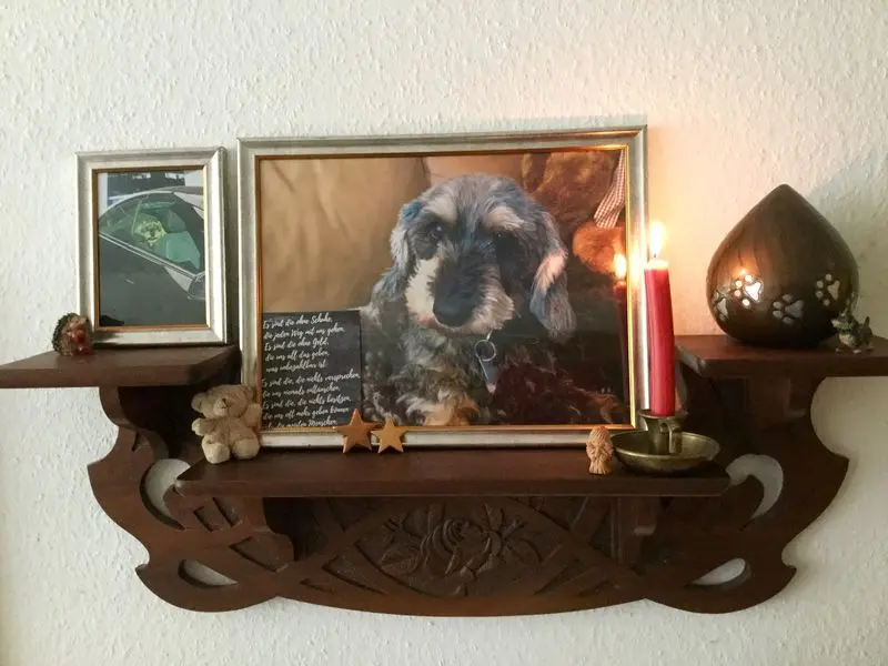 Condolence image of Ulrike