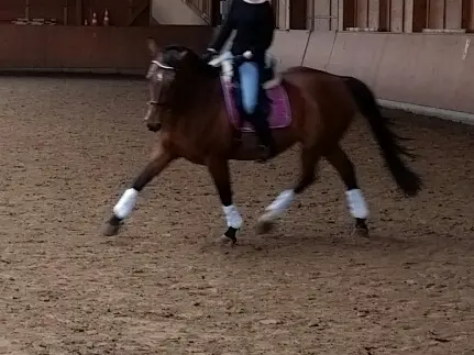 Condolence image of Daniela u SNIPER