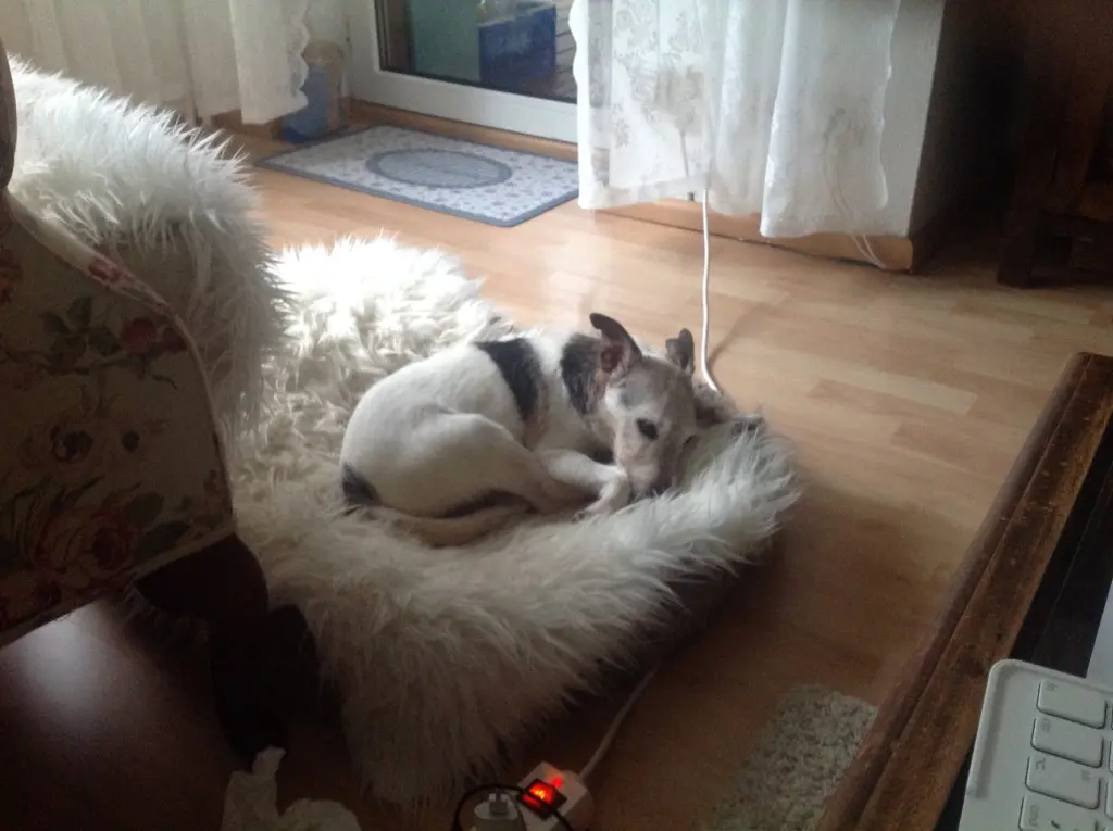 Image from Spike