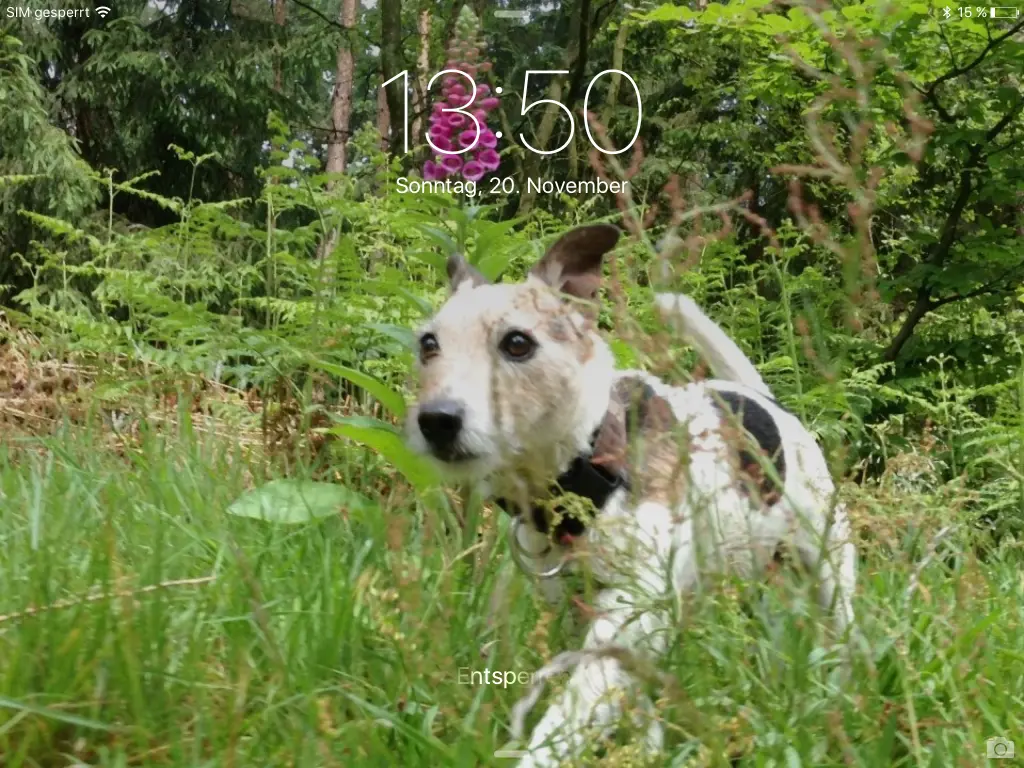 Image from Spike
