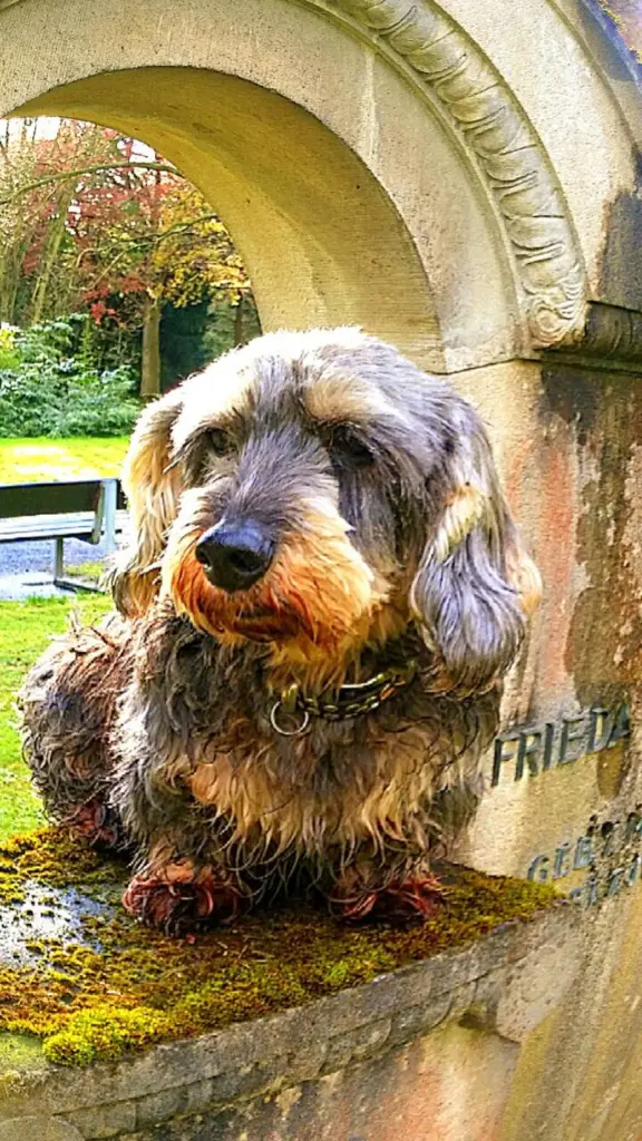Condolence image of Ulrike