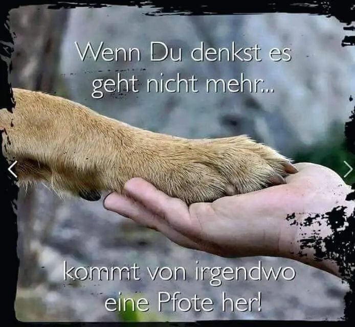 Condolence image of Ingrid und Annette