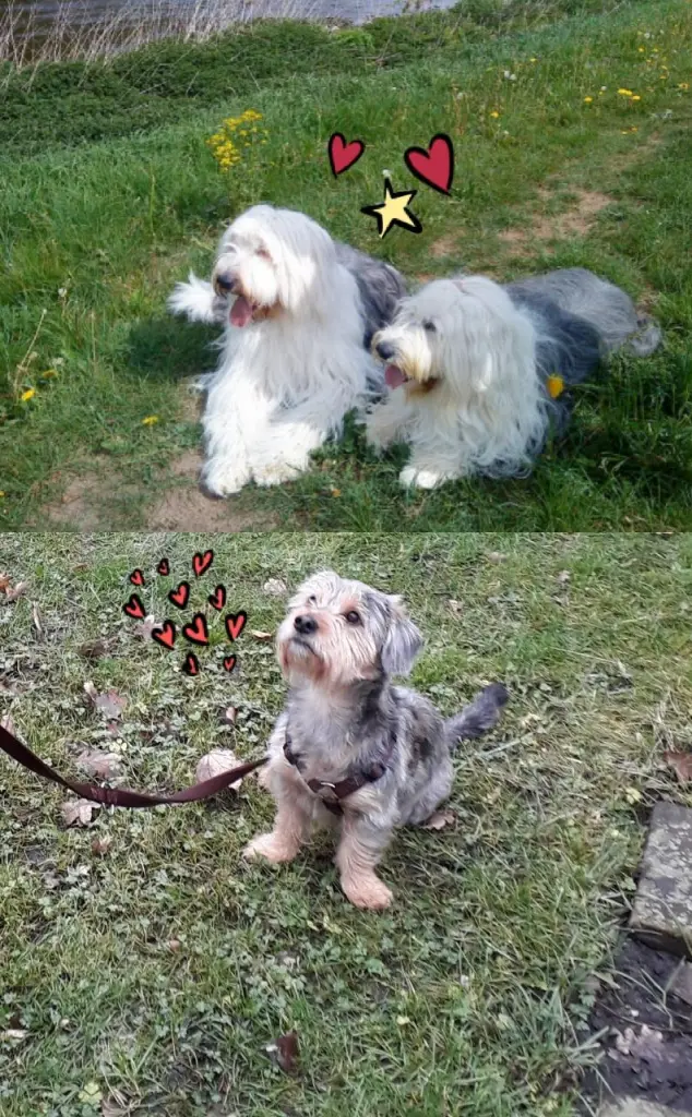 Condolence image of Elke und Alfred