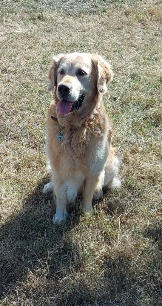 Condolence image of Sabrina Loges