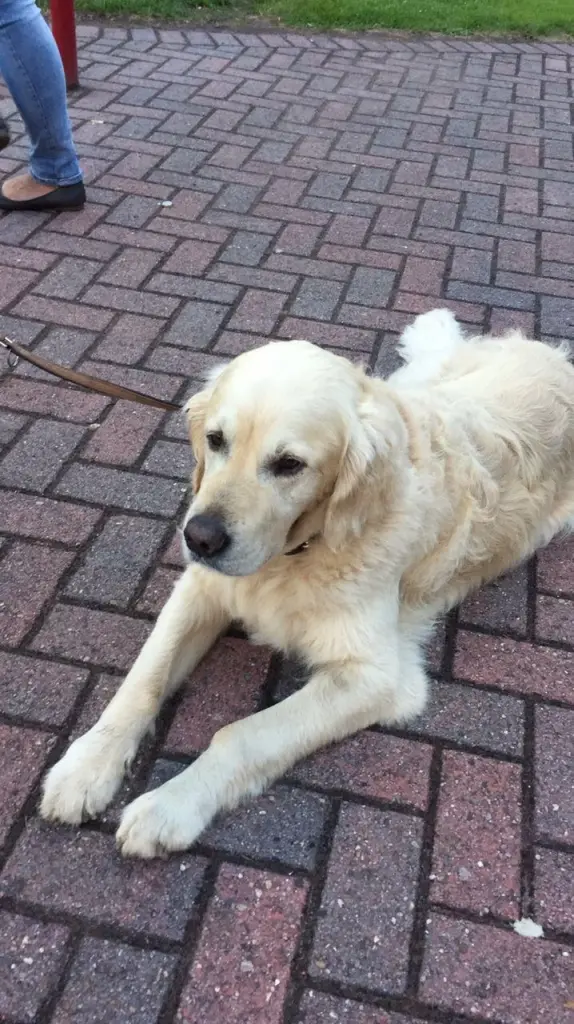 Condolence image of Andy und Piet