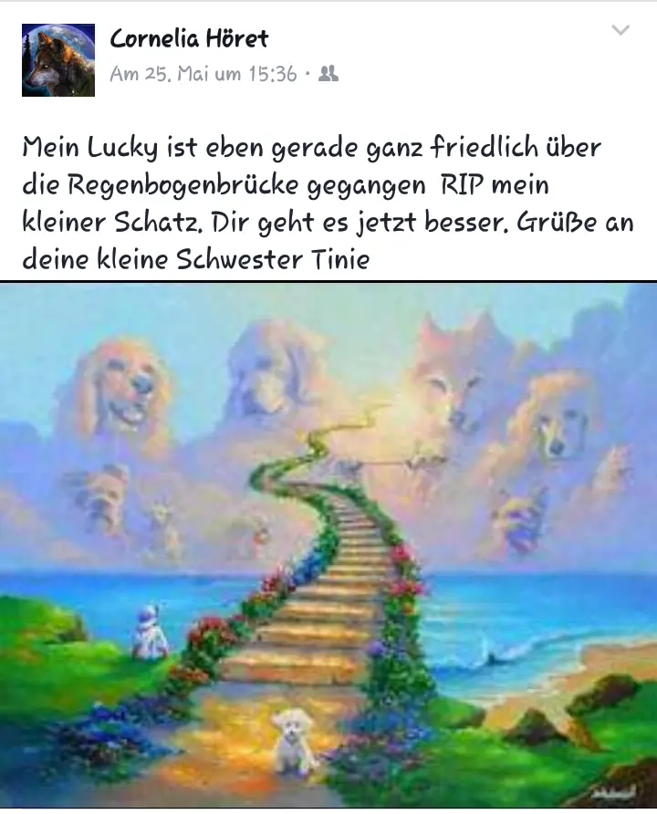 Image from Lucky