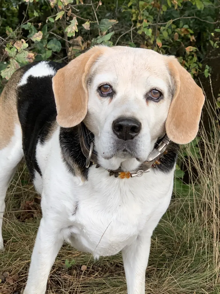 Condolence image of Unbekannt