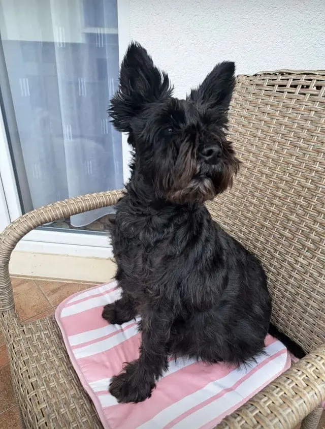 Condolence image of Lydia 