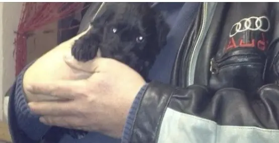 Condolence image of Lydia 