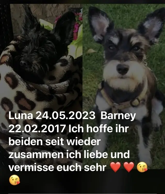 Condolence image of Lydia 