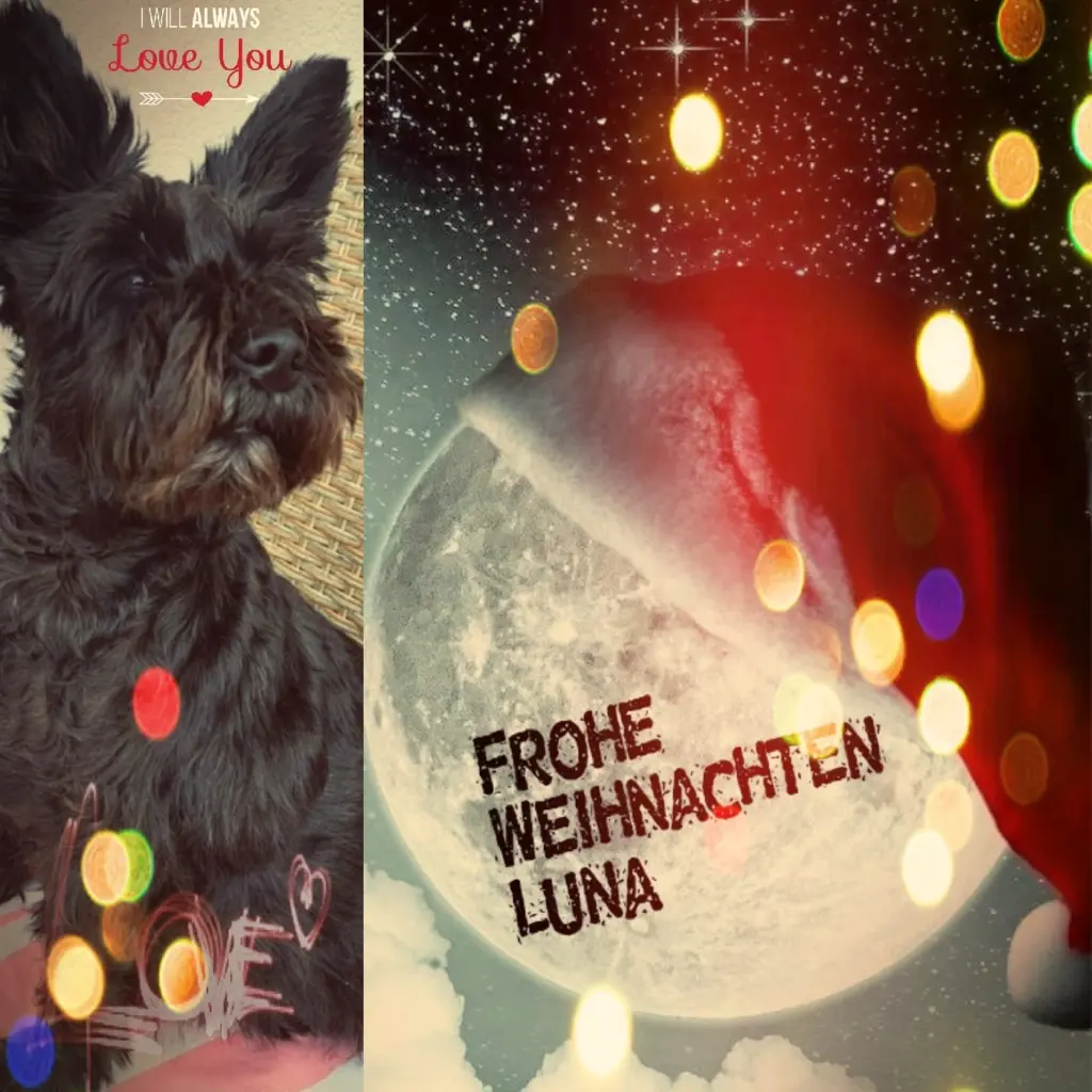 Condolence image of Lydia 