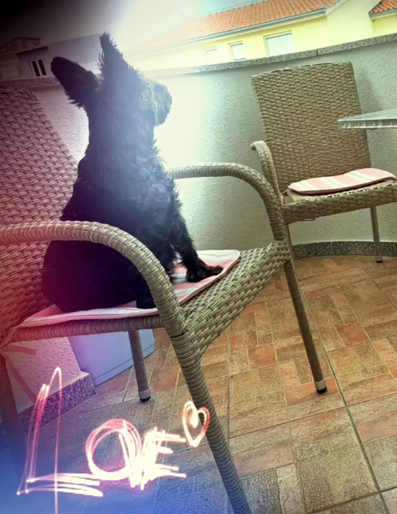 Condolence image of Lydia