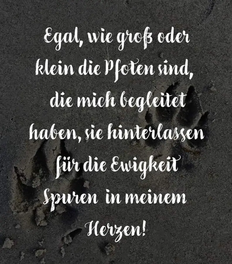 Condolence image of Lydia