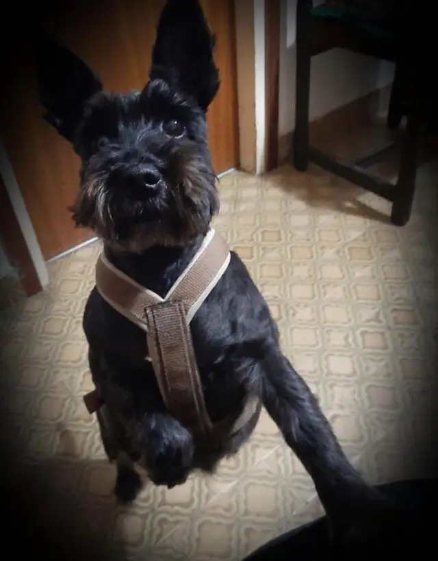 Condolence image of Lydia